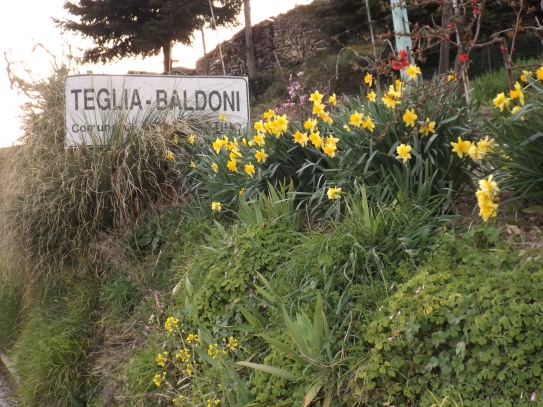 Flowers and village sign