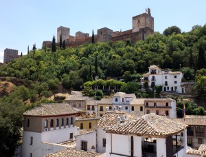 View from the Museum including the Alhambra